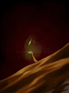 reincarnation reincarnation