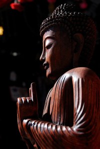 buddhacompassion buddhacompassion