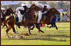 competition competition