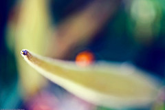 creativity creativity