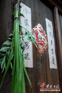 doanngoLaIrisVaNgaicuu doanngoLaIrisVaNgaicuu