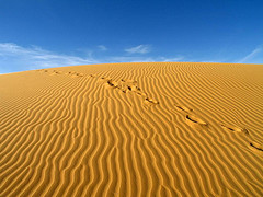 footprints footprints