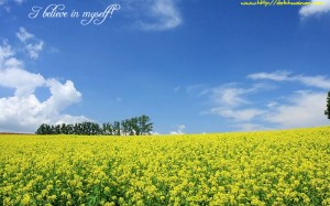 Hokkaido_summer_field_picture_13652023_3460940 copy Hokkaido_summer_field_picture_13652023_3460940 copy