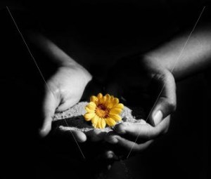 Innerpeace Innerpeace