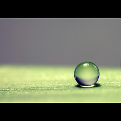 Perfection Perfection