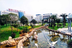 Công viên trong bệnh viện trường