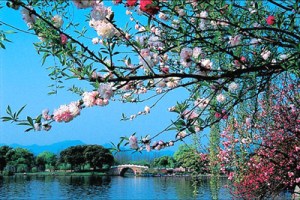 Hoa đài tại Tam Đàm Bán Nguyệt (Tiểu Doanh Châu)