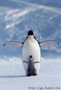 love-protecting love-protecting