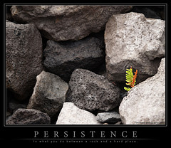 persistence1