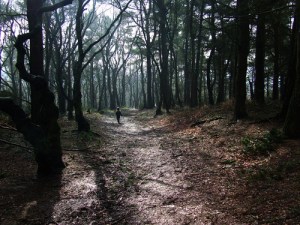 theunknown1 theunknown1