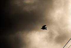 theunknown2 theunknown2