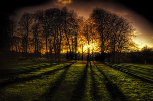 wintersoltice wintersoltice