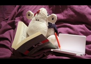 englishchallenge englishchallenge