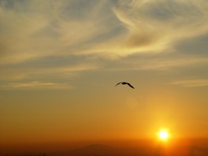 inner peace inner peace