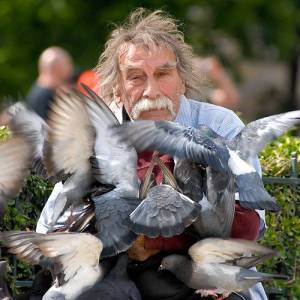 Ông già và chim bồ câu :-)