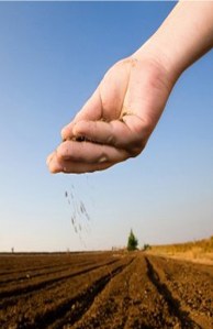 planting-seeds