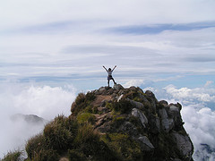 successful successful