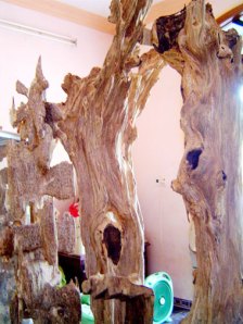 tramhuong1 tramhuong1