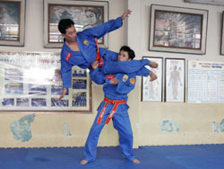 vovinam vovinam