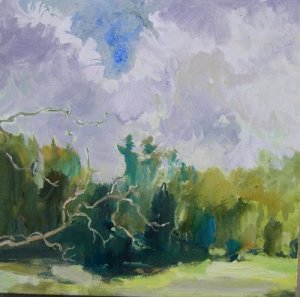 blue bird after rain blue bird after rain