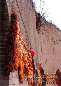 Dao động (mặt ngoài) Dao động (mặt ngoài)