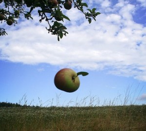 FallingApple FallingApple