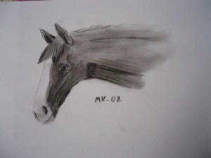 horse2