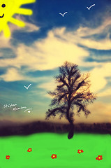 innocence1 innocence1