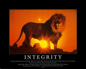integrity integrity