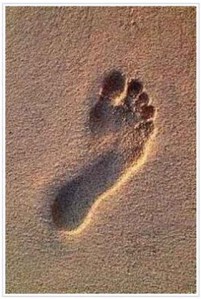 footprint
