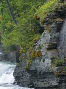 rivercliff rivercliff