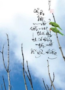 cam_on_doi cam_on_doi