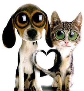 don't judge don't judge