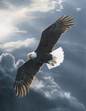 fly-with-god fly-with-god