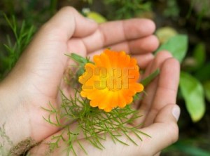 in hands 2 in hands 2