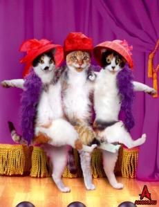 change the way you look