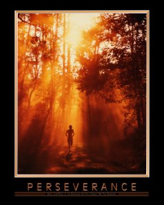 perseverance1