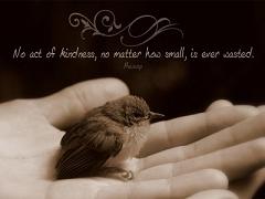 No Act of Kindness is Wasted