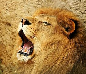 Roaring_Lion