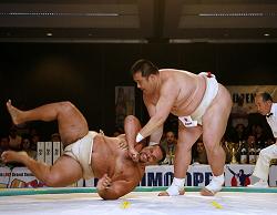 sumo1
