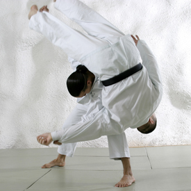jujitsu