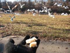 mời các bạn ăn :-)