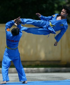vovinam1
