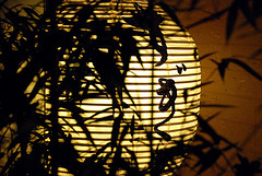 bamboolantern