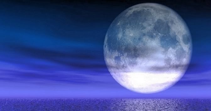 Bài thơ cuối cùng của Hoshin – The Last Poem of Hoshin