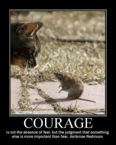 courage