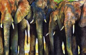 elephant-herd