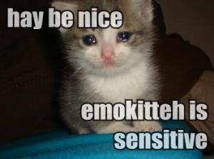 hey_be_nice_emokitteh_is_sensitive_xlarge