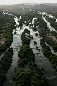 orange_river_branches