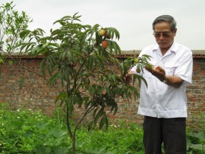 Nhà giáo Hoang Đao Chuc